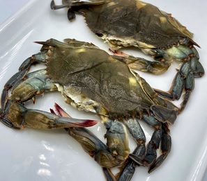 Soft Shell Crab