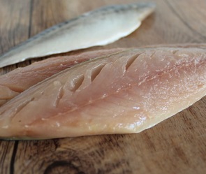 Spanish Mackerel